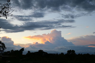 Low angle view of silhouette trees against sky during sunset