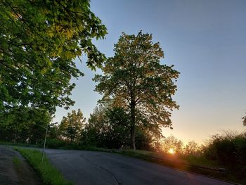 Road by trees against sky during sunset