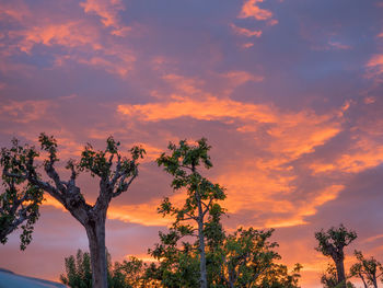 Low angle view of silhouette trees against romantic sky
