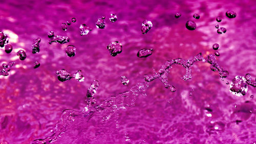 Macro shot of water drops on pink flowers