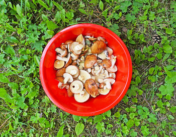 High angle view of fresh bowl with vegetables