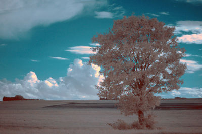 Scenic view of landscape against cloudy sky