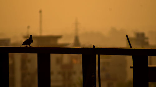 Silhouette bird perching on pole against sky at sunset