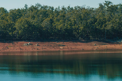 Scenic view of lake by trees