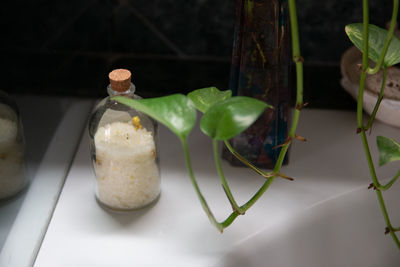 Close-up of food on glass