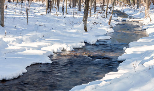 Scenic view of frozen landscape