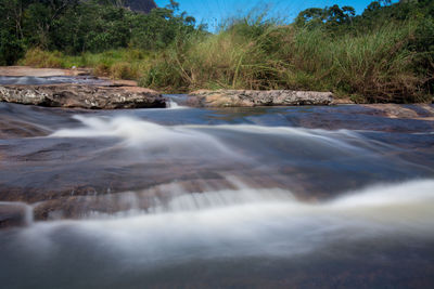 Surface level of river flowing in forest