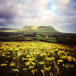 Scenic view of field against cloudy sky