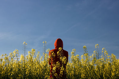 Rear view of person wearing hood standing amidst flowering plants on field against sky