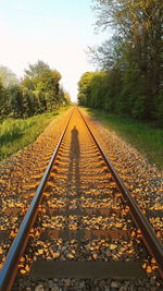 Railroad track amidst trees against sky during autumn