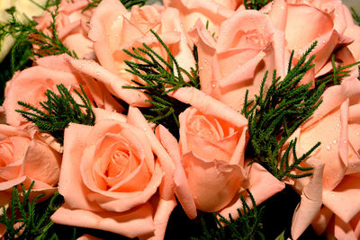 Close-up of rose bouquet