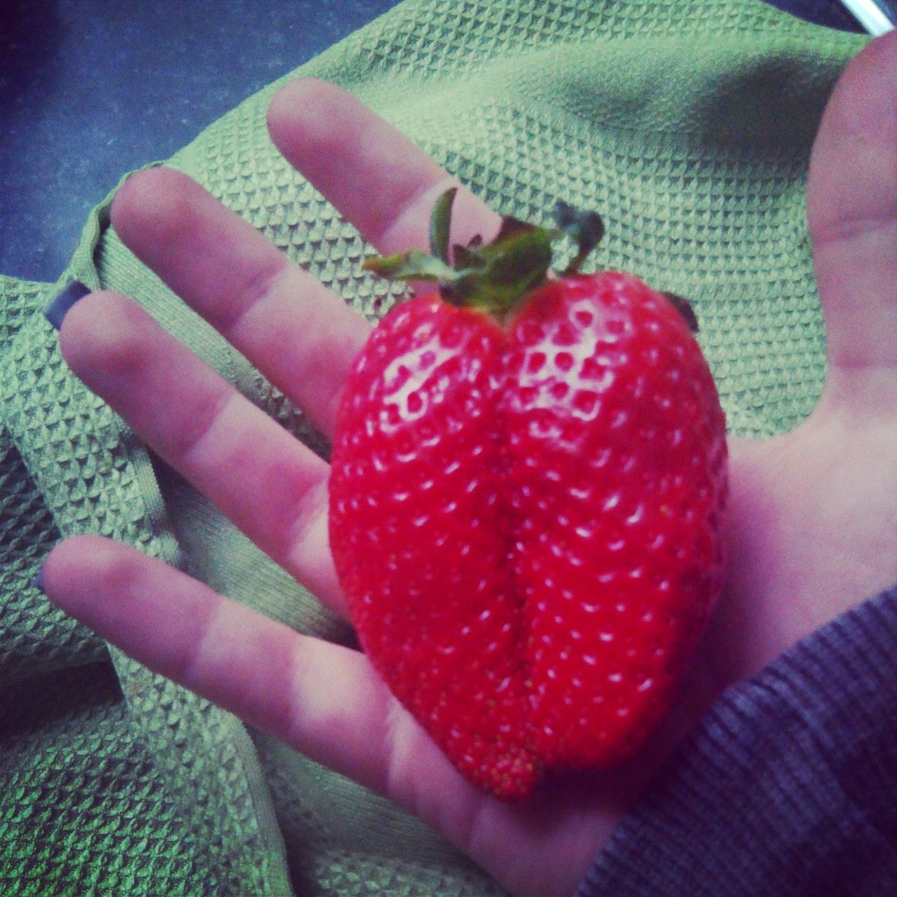 red, indoors, food and drink, fruit, close-up, freshness, strawberry, healthy eating, high angle view, food, person, part of, table, home interior, day, lifestyles, holding