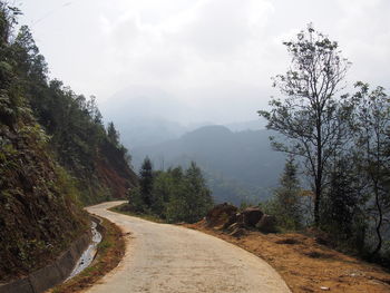 Road amidst trees against sky