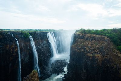 Scenic view of waterfall in forest