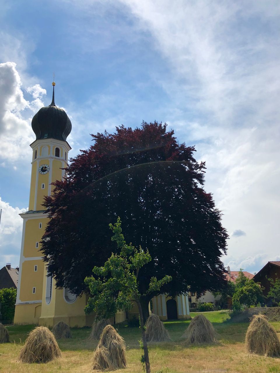 TREES AND BUILDING AGAINST SKY