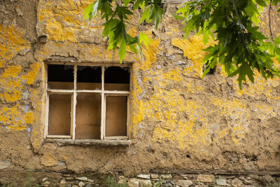 Window of old building