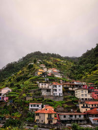 Houses on the slope of the hill. madeira island. portugal.