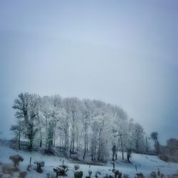 Trees on snow covered landscape against clear sky