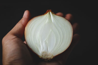 Close-up of hand holding onion