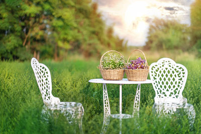 Chairs and tables in basket on table at yard