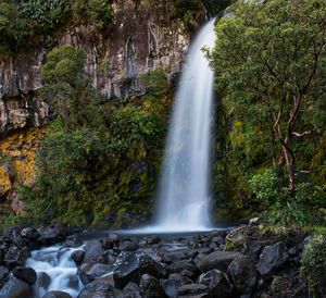 Scenic view of waterfall in forest