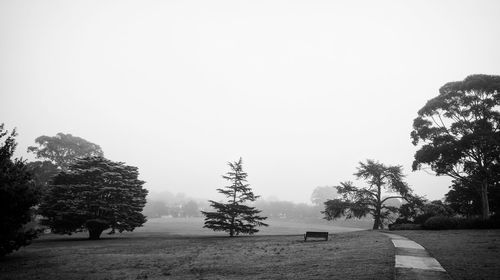 Trees on landscape against clear sky during winter