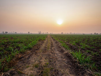 Scenic view of field against sky during sunset