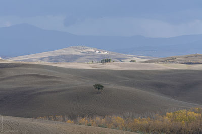 Autumn velvet.
val d' orcia. beautifully place in tuscany - italy
