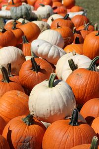 High angle view of pumpkins for sale at market