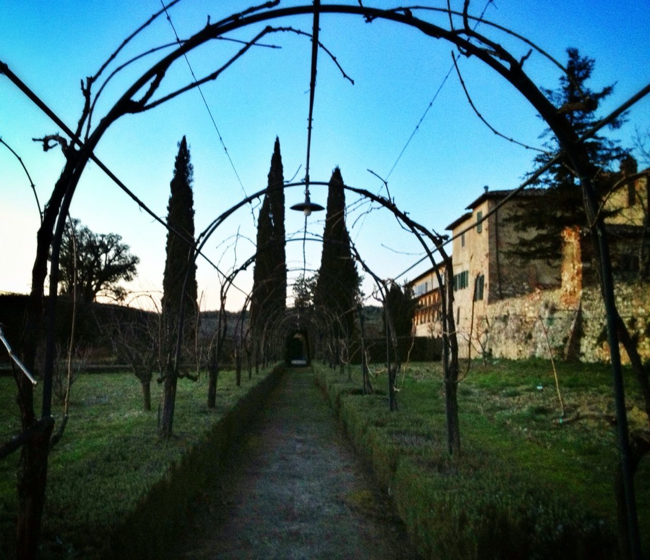 architecture, built structure, building exterior, clear sky, the way forward, grass, blue, sky, tree, diminishing perspective, bare tree, sunlight, house, shadow, pathway, day, old, footpath, no people, outdoors