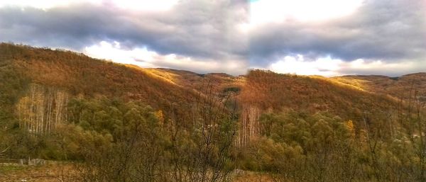 Panoramic view of agricultural field against sky