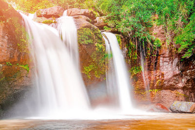 Scenic view of waterfall in forest