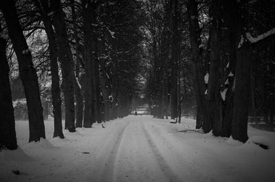 Road amidst trees in forest during winter