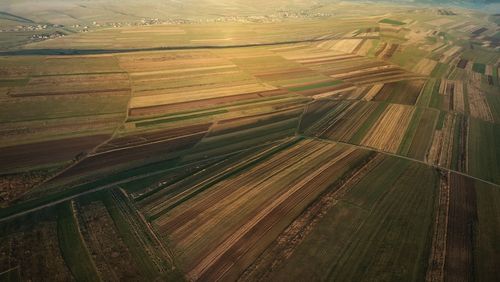 High angle view of agricultural field