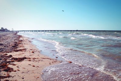 Scenic view of sea against clear sky