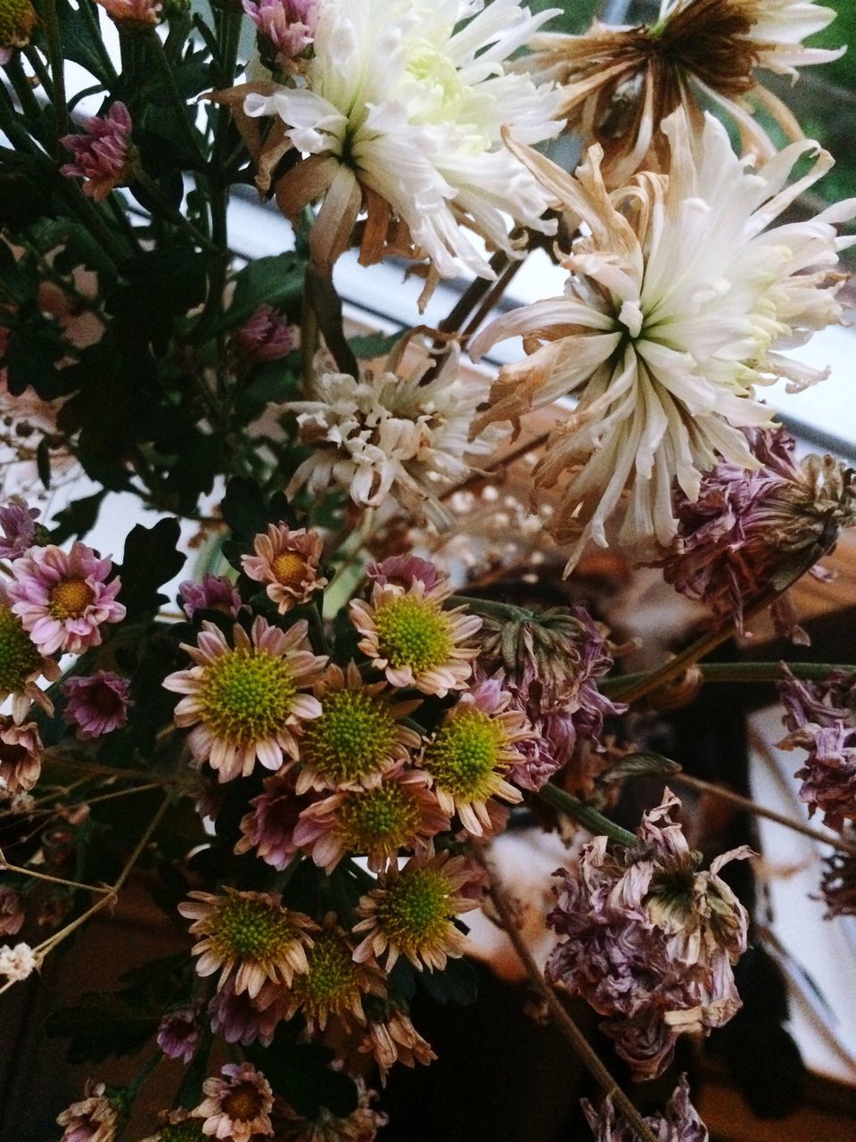 FULL FRAME SHOT OF PINK FLOWERS