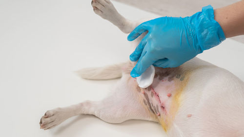 Cropped hand of woman with iv drip