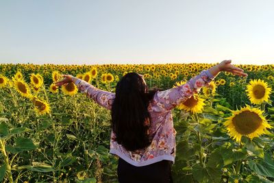 Rear view of person standing on sunflower field against sky