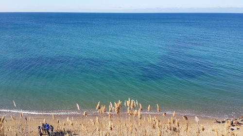 High angle view of beach against sky