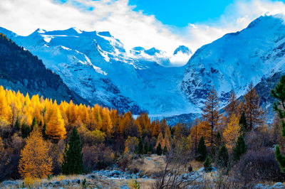 A close-up view of the morteratsch glacier in autumn, engadin, switzerland.