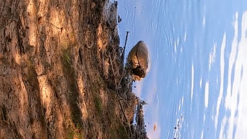 Close-up of fishing net on lake against sky