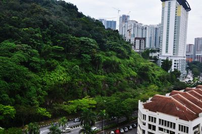 Trees in city against sky