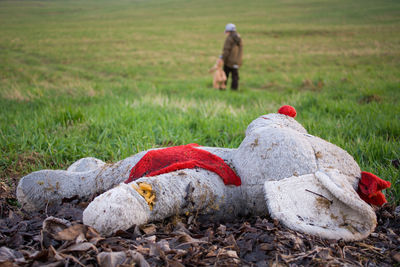 Teddy bear on field