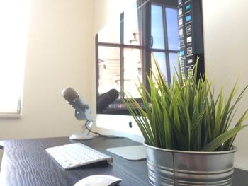 Plants on table at home