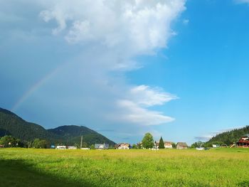 Scenic view of agricultural field against sky