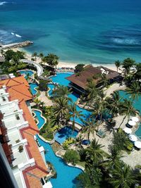 High angle view of palm trees by swimming pool