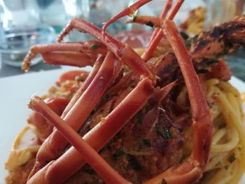 Close-up of meat served in plate