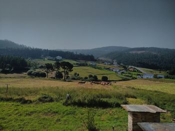 Scenic view of field against sky