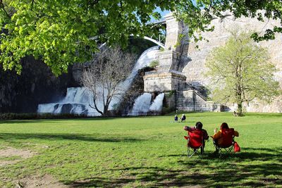 Rear view of people in park