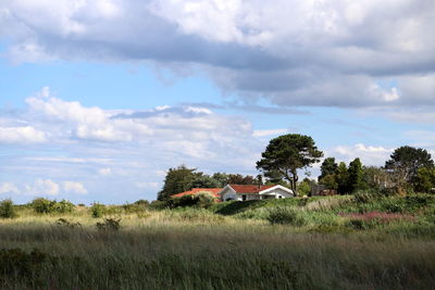 Trees and houses on field against sky